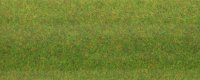 NOCH 00260 Grasmatte “Frühlingswiese” 120 x 60 cm