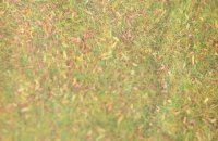 NOCH 08330 Streugras “Blumenwiese” 2,5 mm, 20 g