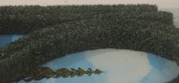 NOCH 21524 Modellhecken dunkelgrün, 2 Stück, 1 x 0,6 cm, je 50 cm lang