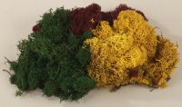 NOCH 08620 Dekormoos herbstlich, 75 g