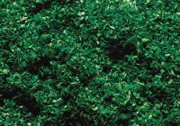 Faller 170703 Streumaterial, waldgrün, 30 g