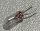 Stiftlampe M 60.008, 19V/50mA, klar