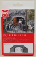 Busch 1471 Stolleneingang 2-gleisig H0